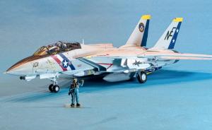 Galerie: Grumman F-14D Tomcat