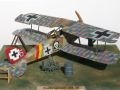 Halberstadt Cl.II