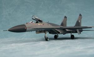 Suchoi Su-27 Flanker B
