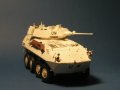 LAV-25 Piranha