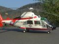 : HH-65A Dauphin