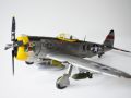 Galerie: Republic P-47D Thunderbolt