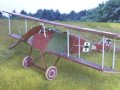 Halberstadt D.II