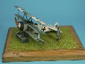 Fokker Dr.I