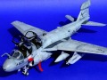 : Grumman EA-6B Prowler