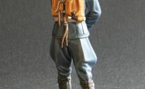 Pilot der Deutschen Luftwaffe