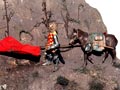 Ritter auf dem Weg