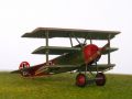 Galerie: Fokker Dr.I