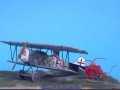 : Fokker D.VII (O.A.W.)