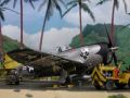 Bausatz: Republic P-47N Thunderbolt