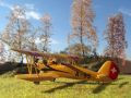 Focke-Wulf Fw 44 Stieglitz