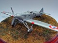 : Dewoitine D.510