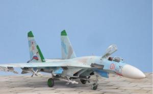 Galerie: Suchoi Su-27 Flanker-B