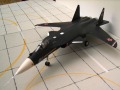 : Suchoi Su-47 Berkut