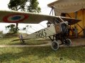 Morane-Saulnier Typ L Parasol