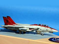 Grumman F-14B Tomcat