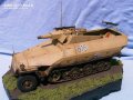 Sd.Kfz. 251/9 Ausf. D Stummel