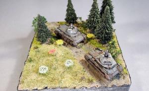 Panzerkampfwagen II Ausf. A und Ausf. C