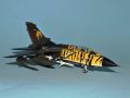 : Panavia Tornado ECR