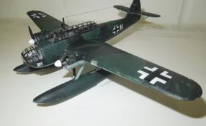 : Fokker T.VIII-W