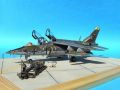Dassault-Breguet/Dornier Alpha Jet