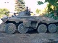 : Sp�hpanzer 2 Luchs