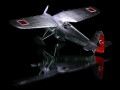 PZL P.24c