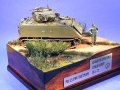 : M113A1 FSV