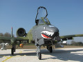 : A-10A Thunderbolt II