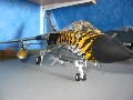Panavia Tornado ECR