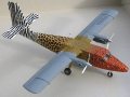 : de Havilland Canada DHC-6 Twin Otter