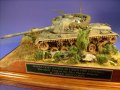 M48 A5 Molf