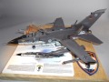 : Panavia Tornado IDS
