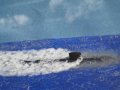 USS Greeneville (SSN-772)
