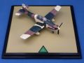 Pilatus PC-7 (1:72 Planet Models)