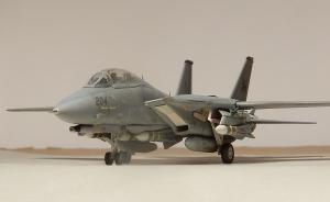 Galerie: Grumman F-14D Super Tomcat