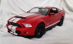 : 2010 Shelby Mustang GT 500
