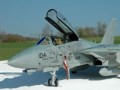 Grumman F-14D Tomcat
