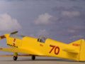 Schoenfeldt Firecracker