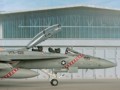 Boeing F/A-18F Super Hornet