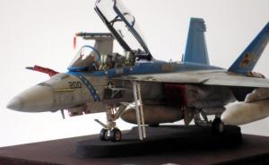 Galerie: Boeing F/A-18F Super Hornet