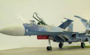 Galerie: Suchoi Su-33 Flanker-D