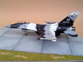 F-16C Fighting Falcon