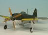Kawanishi N1K1-Ja Shiden Type 11