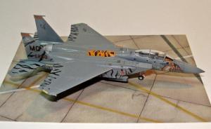 Galerie: McDonnell Douglas F-15E Strike Eagle