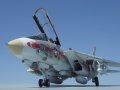 Grumman F-14A Tomcat