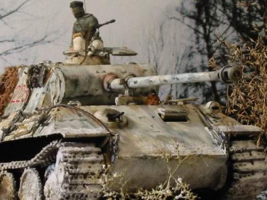 Panther im Winterkleid