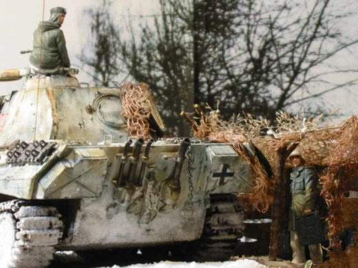 Panther im Winterkleid