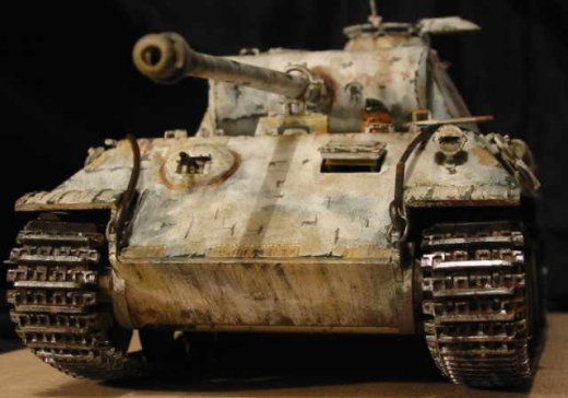 Panther im Winterkleid