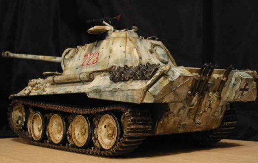 Panther im Winterkleid